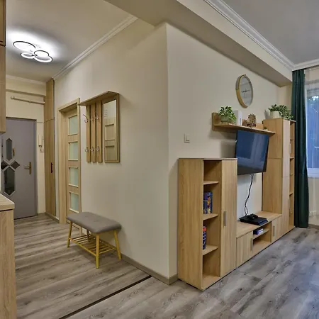 Karolina In The Silent 11th District *